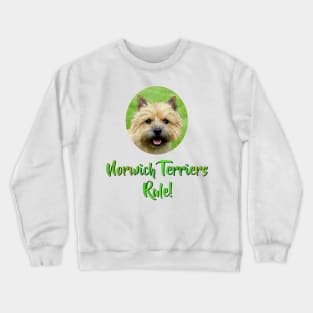 Norwich Terriers Rule! Crewneck Sweatshirt